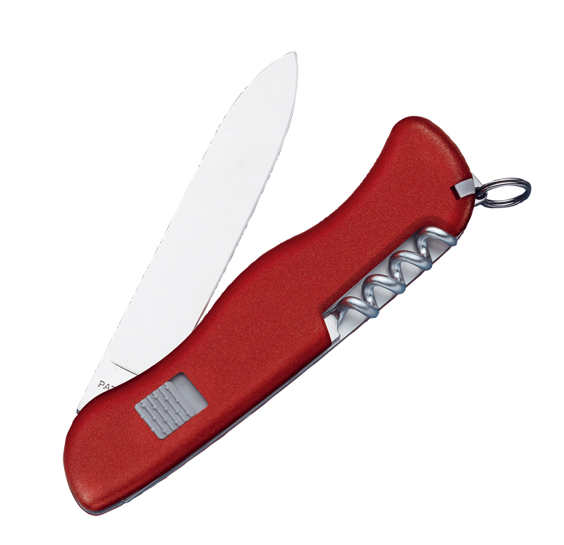 Taschenmesser Alpineer rot mit vielen Funktionen von Victorinox